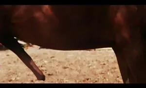 essayez mon meilleur video porno francais nouveau gode / vibrateur